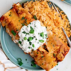 Birria Chicken Enchiladas