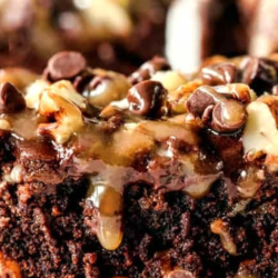 Turtle Brownie