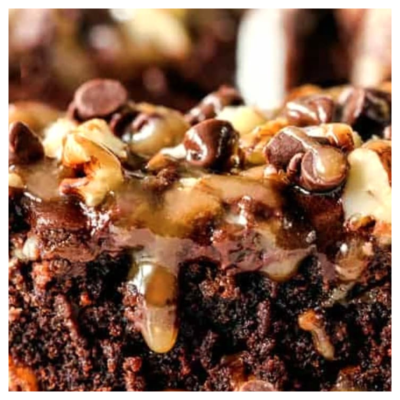 Turtle Brownie